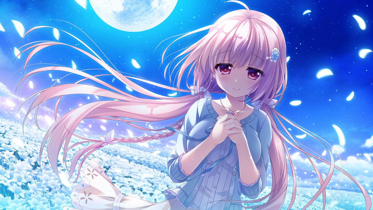The cover picture of the previous content